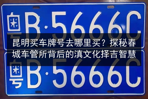 昆明买车牌号去哪里买?探秘春城车管所背后的滇文化择吉智慧 第3张 昆明买车牌号去哪里买?探秘春城车管所背后的滇文化择吉智慧 第3张