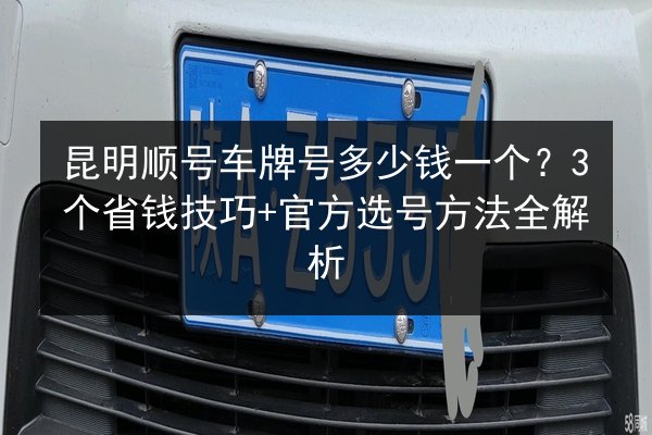 昆明顺号车牌号多少钱一个？3个省钱技巧+官方选号方法全解析 第2张