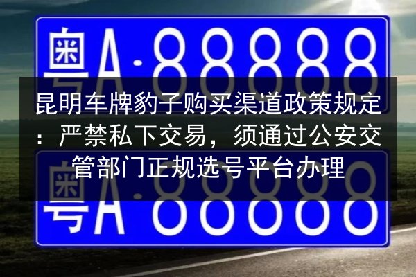 昆明车牌豹子购买渠道政策规定：严禁私下交易，须通过公安交管部门正规选号平台办理 第2张
