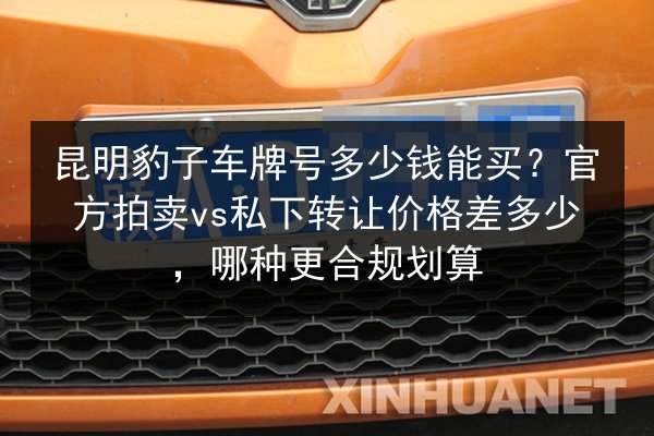 昆明豹子车牌号多少钱能买?官方拍卖vs私下转让价格差多少,哪种更合规划算 第3张 昆明豹子车牌号多少钱能买?官方拍卖vs私下转让价格差多少,哪种更合规划算 第3张