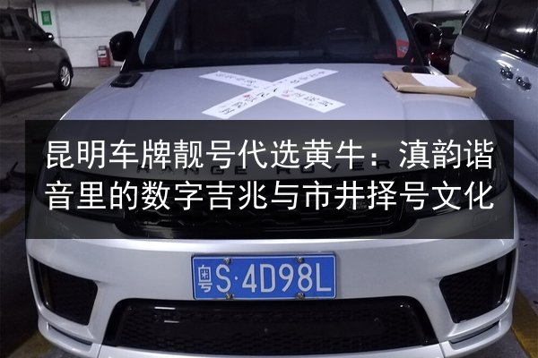昆明车牌靓号代选黄牛：滇韵谐音里的数字吉兆与市井择号文化 第1张