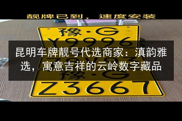 昆明车牌靓号代选商家：滇韵雅选，寓意吉祥的云岭数字藏品