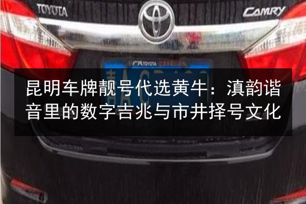 昆明车牌靓号代选黄牛：滇韵谐音里的数字吉兆与市井择号文化 第2张