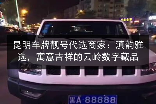 昆明车牌靓号代选商家:滇韵雅选,寓意吉祥的云岭数字藏品 第2张 昆明车牌靓号代选商家:滇韵雅选,寓意吉祥的云岭数字藏品 第2张