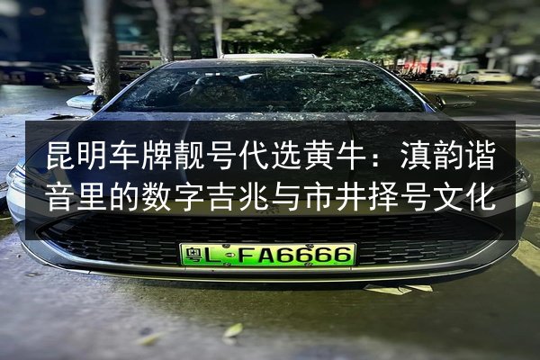 昆明车牌靓号代选黄牛：滇韵谐音里的数字吉兆与市井择号文化 第3张
