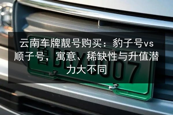 云南车牌靓号购买：豹子号vs顺子号，寓意、稀缺性与升值潜力大不同 第2张