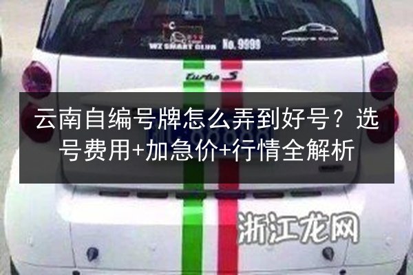 云南自编号牌怎么弄到好号?选号费用+加急价+行情全解析 第2张 云南自编号牌怎么弄到好号?选号费用+加急价+行情全解析 第2张