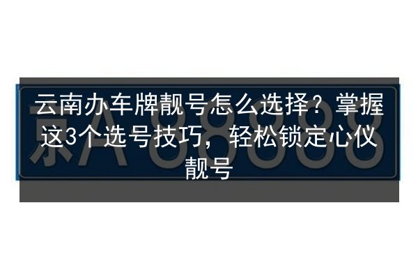 云南办车牌靓号怎么选择?掌握这3个选号技巧,轻松锁定心仪靓号 第2张 云南办车牌靓号怎么选择?掌握这3个选号技巧,轻松锁定心仪靓号 第2张