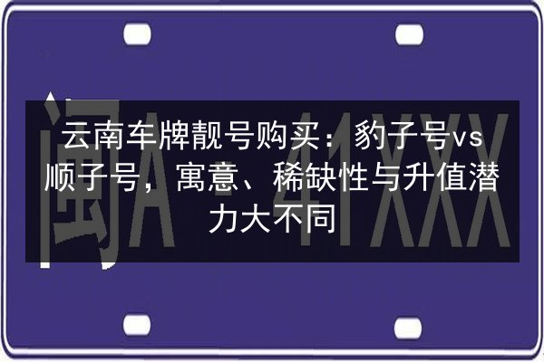 云南车牌靓号购买：豹子号vs顺子号，寓意、稀缺性与升值潜力大不同 第3张