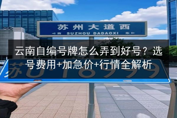 云南自编号牌怎么弄到好号?选号费用+加急价+行情全解析 第3张 云南自编号牌怎么弄到好号?选号费用+加急价+行情全解析 第3张