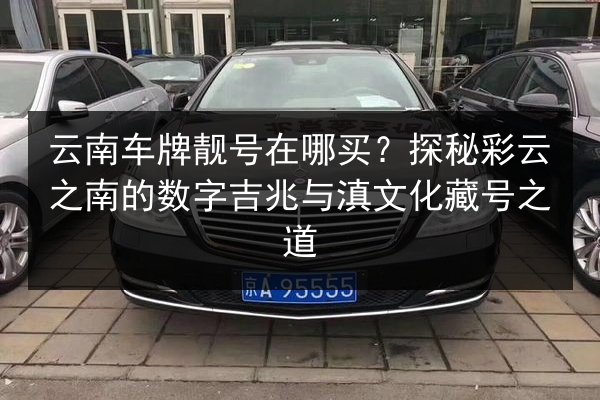 云南车牌靓号在哪买?探秘彩云之南的数字吉兆与滇文化藏号之道 第1张 云南车牌靓号在哪买?探秘彩云之南的数字吉兆与滇文化藏号之道 第1张