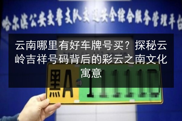 云南哪里有好车牌号买？探秘云岭吉祥号码背后的彩云之南文化寓意 第2张
