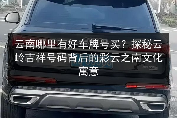 云南哪里有好车牌号买？探秘云岭吉祥号码背后的彩云之南文化寓意 第3张