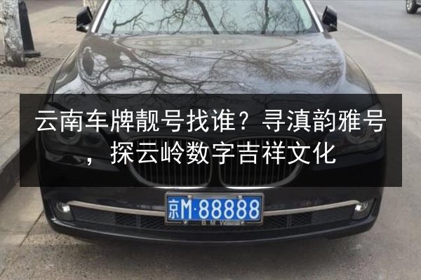 云南车牌靓号找谁？寻滇韵雅号，探云岭数字吉祥文化 第2张