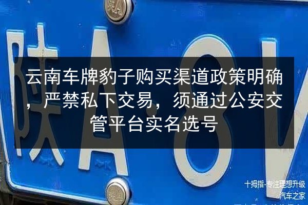 云南车牌豹子购买渠道政策明确，严禁私下交易，须通过公安交管平台实名选号 第1张