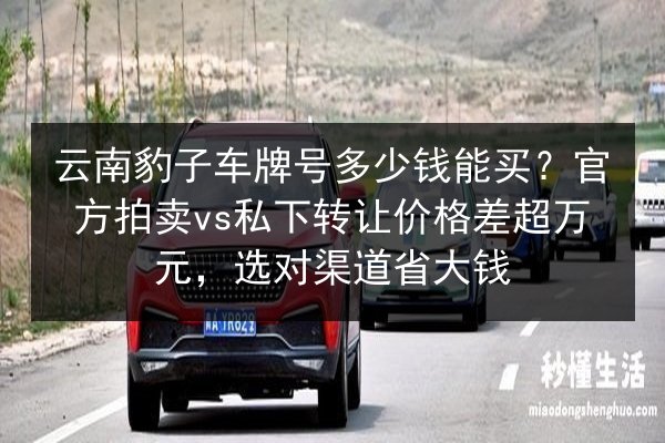云南豹子车牌号多少钱能买?官方拍卖vs私下转让价格差超万元,选对渠道省大钱 第2张 云南豹子车牌号多少钱能买?官方拍卖vs私下转让价格差超万元,选对渠道省大钱 第2张