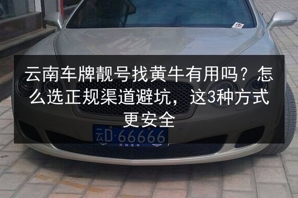 云南车牌靓号找黄牛有用吗?怎么选正规渠道避坑,这3种方式更安全 第3张 云南车牌靓号找黄牛有用吗?怎么选正规渠道避坑,这3种方式更安全 第3张