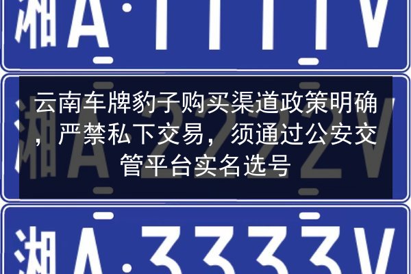 云南车牌豹子购买渠道政策明确，严禁私下交易，须通过公安交管平台实名选号 第2张