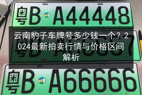 云南豹子车牌号多少钱一个?2024最新拍卖行情与价格区间解析 第3张 云南豹子车牌号多少钱一个?2024最新拍卖行情与价格区间解析 第3张