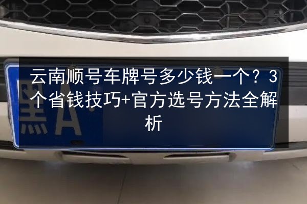 云南顺号车牌号多少钱一个？3个省钱技巧+官方选号方法全解析 第2张