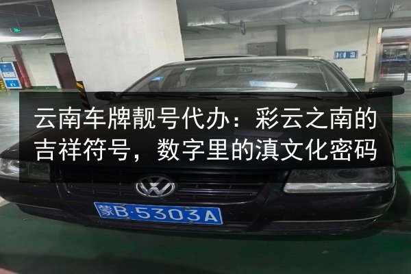 云南车牌靓号代办：彩云之南的吉祥符号，数字里的滇文化密码 第2张