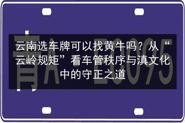 云南选车牌可以找黄牛吗?从“云岭规矩”看车管秩序与滇文化中的守正之道 第2张 云南选车牌可以找黄牛吗?从“云岭规矩”看车管秩序与滇文化中的守正之道 第2张