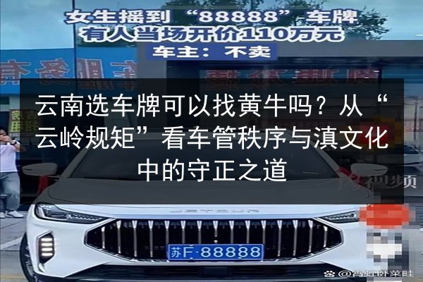 云南选车牌可以找黄牛吗?从“云岭规矩”看车管秩序与滇文化中的守正之道 第3张 云南选车牌可以找黄牛吗?从“云岭规矩”看车管秩序与滇文化中的守正之道 第3张