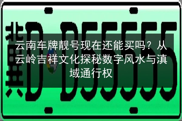 云南车牌靓号现在还能买吗?从云岭吉祥文化探秘数字风水与滇域通行权 第2张 云南车牌靓号现在还能买吗?从云岭吉祥文化探秘数字风水与滇域通行权 第2张