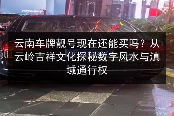 云南车牌靓号现在还能买吗?从云岭吉祥文化探秘数字风水与滇域通行权 第3张 云南车牌靓号现在还能买吗?从云岭吉祥文化探秘数字风水与滇域通行权 第3张
