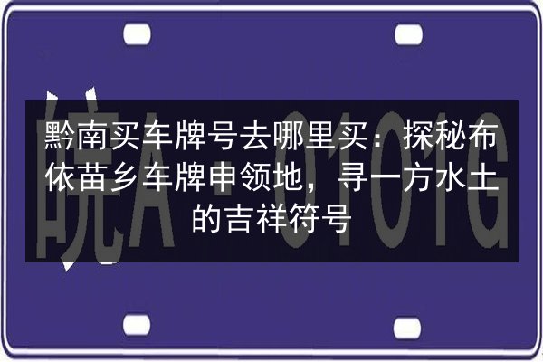 黔南买车牌号去哪里买：探秘布依苗乡车牌申领地，寻一方水土的吉祥符号 第2张