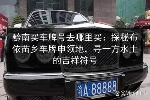 黔南买车牌号去哪里买：探秘布依苗乡车牌申领地，寻一方水土的吉祥符号 第3张