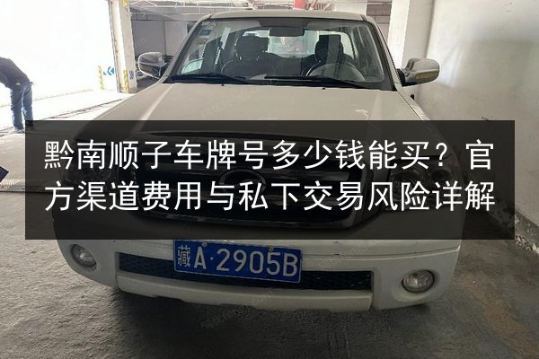 黔南顺子车牌号多少钱能买？官方渠道费用与私下交易风险详解 第2张