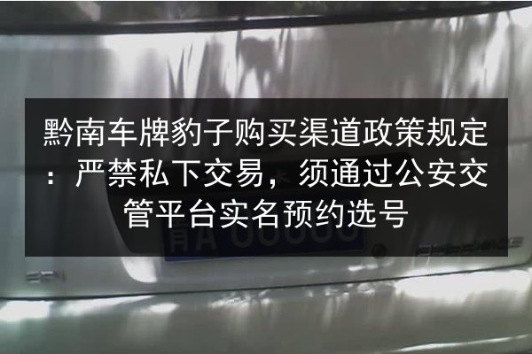 黔南车牌豹子购买渠道政策规定：严禁私下交易，须通过公安交管平台实名预约选号 第3张