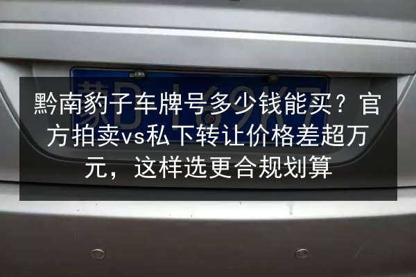 黔南豹子车牌号多少钱能买?官方拍卖vs私下转让价格差超万元,这样选更合规划算 第3张 黔南豹子车牌号多少钱能买?官方拍卖vs私下转让价格差超万元,这样选更合规划算 第3张