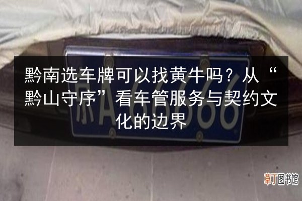 黔南选车牌可以找黄牛吗？从“黔山守序”看车管服务与契约文化的边界 第2张