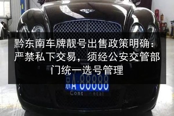 黔东南车牌靓号出售政策明确：严禁私下交易，须经公安交管部门统一选号管理 第1张