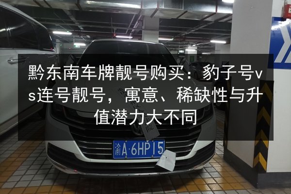 黔东南车牌靓号购买：豹子号vs连号靓号，寓意、稀缺性与升值潜力大不同 第2张