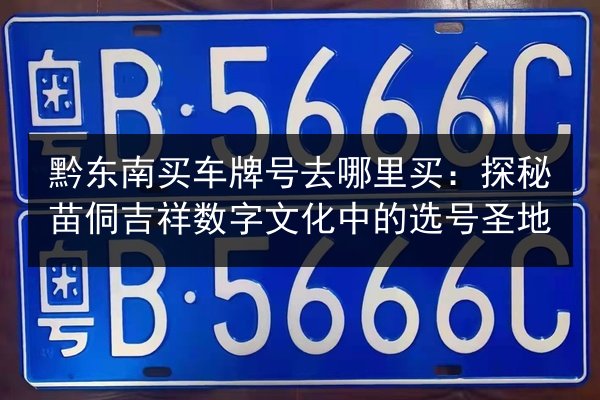 黔东南买车牌号去哪里买：探秘苗侗吉祥数字文化中的选号圣地 第2张