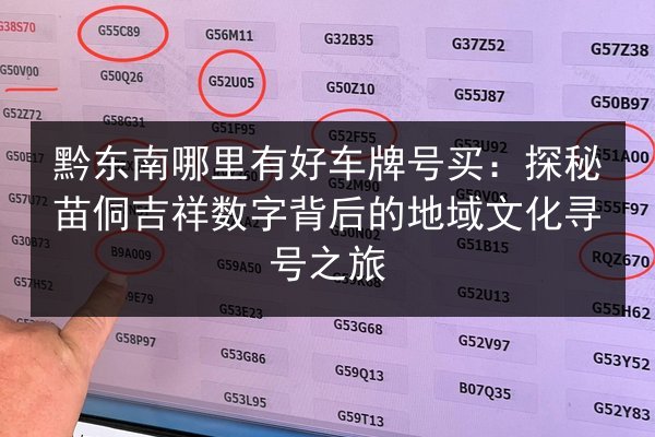 黔东南哪里有好车牌号买：探秘苗侗吉祥数字背后的地域文化寻号之旅 第3张