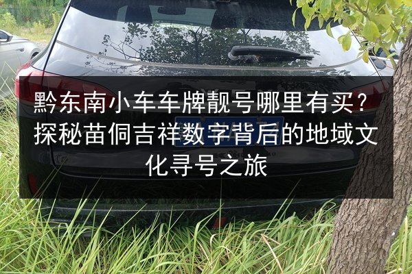 黔东南小车车牌靓号哪里有买？探秘苗侗吉祥数字背后的地域文化寻号之旅