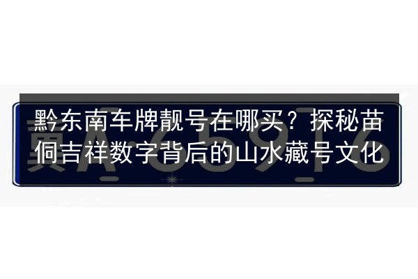 黔东南车牌靓号在哪买？探秘苗侗吉祥数字背后的山水藏号文化 第3张