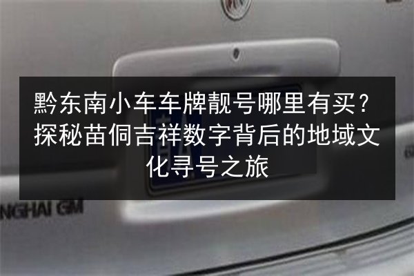 黔东南小车车牌靓号哪里有买?探秘苗侗吉祥数字背后的地域文化寻号之旅 第2张 黔东南小车车牌靓号哪里有买?探秘苗侗吉祥数字背后的地域文化寻号之旅 第2张