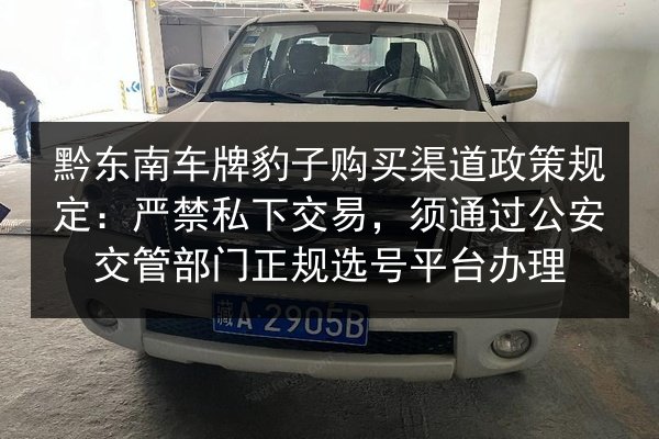 黔东南车牌豹子购买渠道政策规定：严禁私下交易，须通过公安交管部门正规选号平台办理 第2张