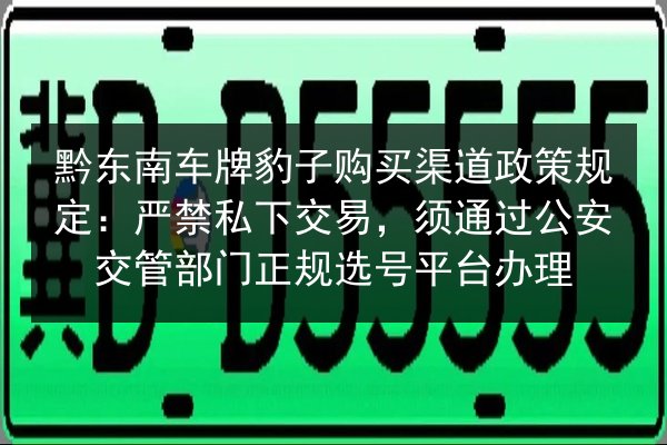 黔东南车牌豹子购买渠道政策规定：严禁私下交易，须通过公安交管部门正规选号平台办理 第3张