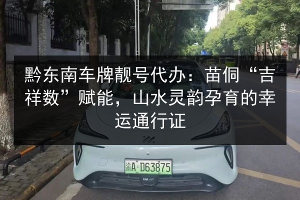 黔东南车牌靓号代办：苗侗“吉祥数”赋能，山水灵韵孕育的幸运通行证 第2张