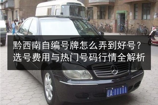 黔西南自编号牌怎么弄到好号？选号费用与热门号码行情全解析 第2张