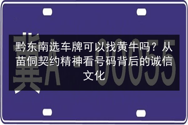 黔东南选车牌可以找黄牛吗?从苗侗契约精神看号码背后的诚信文化 第3张 黔东南选车牌可以找黄牛吗?从苗侗契约精神看号码背后的诚信文化 第3张