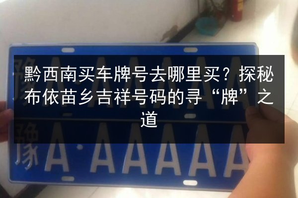 黔西南买车牌号去哪里买？探秘布依苗乡吉祥号码的寻“牌”之道 第3张