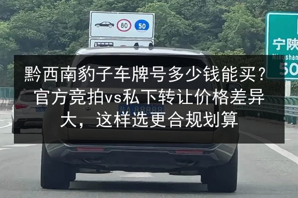 黔西南豹子车牌号多少钱能买？官方竞拍vs私下转让价格差异大，这样选更合规划算 第2张