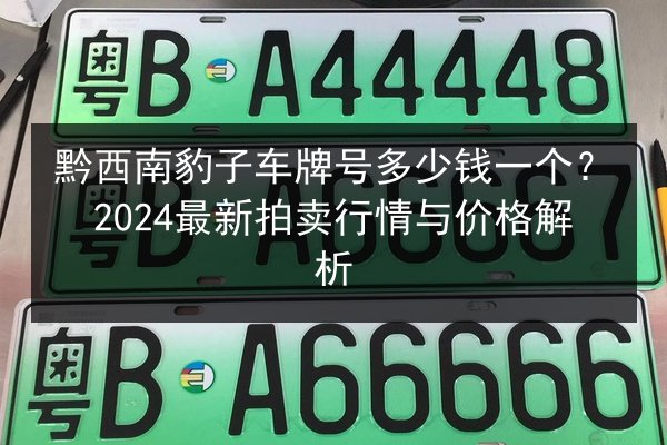黔西南豹子车牌号多少钱一个?2024最新拍卖行情与价格解析 第3张 黔西南豹子车牌号多少钱一个?2024最新拍卖行情与价格解析 第3张